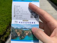 -摩天岭风景区