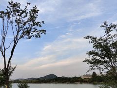-羊山湖公园