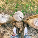 神秘的花园落户北京——在圣露海利根花园寻找遗失的美好