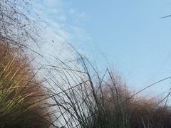 -映月湖中央公园
