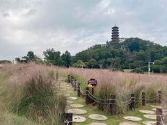 -红花山公园
