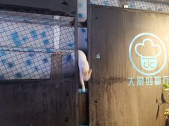 -大厨的餐厅(曾厝垵总店)