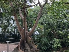 -九龙公园