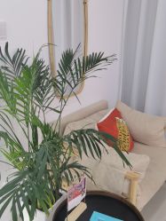 -Cream88颜皮肤管理中心