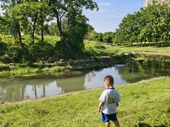 -两河城市森林公园