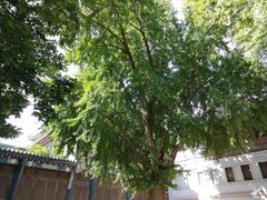 -国家图书馆·古籍馆