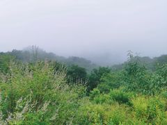 -大岭沟猕猴桃谷风景区