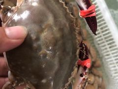 -兆辉木炭海鲜烧烤·海鲜小炒