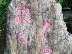 -广州市帽峰山景区