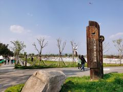 -漩门湾国家湿地公园