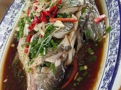 -芦茨金富饭庄·25年老字号·专做稻草鸡