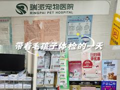 -瑞派天宁宠物医院·猫科·异宠中心
