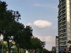 -宁海食府(大剧院店)