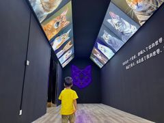 -杭州宝龙艺术中心