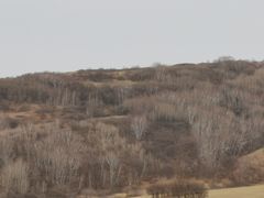 -塞罕坝国家级自然保护区