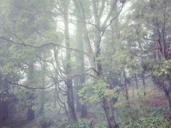 -庐山风景区花径公园
