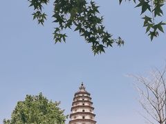 -开元寺塔