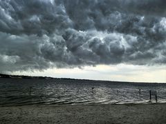 -呼兰河口湿地公园