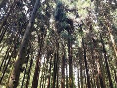 -娄山关景区