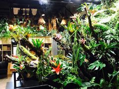 -森味薪火烧•烧鸟居酒屋•日本料理(望京店)