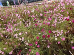 -内蒙古美术馆