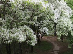 -国家植物园南园