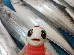 -毕家疃综合市场