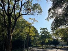 -西溪国家湿地公园