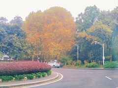 -紫金山山顶公园