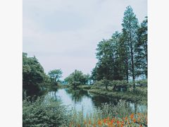 -金银湖国家城市湿地公园