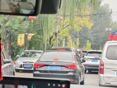 -鲁山国家森林公园