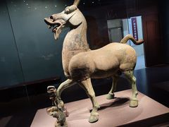 -广西壮族自治区博物馆