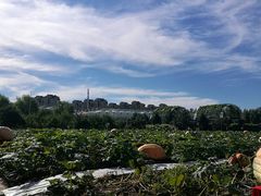 -长春农博园
