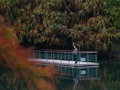 -尚贤河湿地