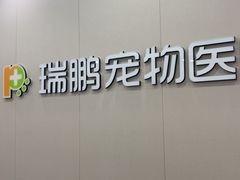-瑞鹏宠物医院·骨外科·心肾科·肿瘤科(九亭店)