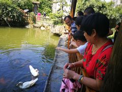 -观澜山水田园