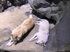 -郑州海洋馆