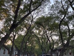 -北京国子监胡同