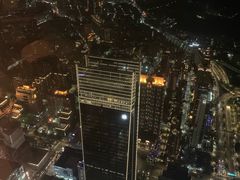 -顶鲜101美食美景餐厅