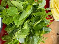 -花水湾红太阳牛肉汤锅