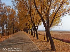 景点-野鸭湖国家湿地公园