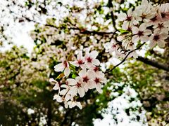 -永乐路-路侧停车场