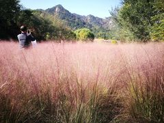 -昆嵛山石门里景区