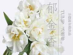 -金陵之星大酒店·中餐厅