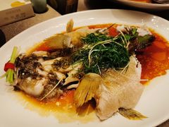 清蒸翘壳鱼-金悦轩海鲜酒家(拱北店)