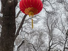-北京国子监胡同
