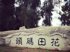 -漩门湾国家湿地公园