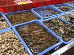 -都斛海鲜街