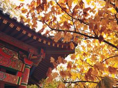 -华清宫景区