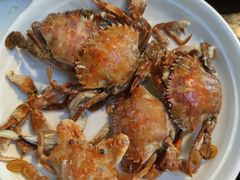 -启博美食城(孟家店)